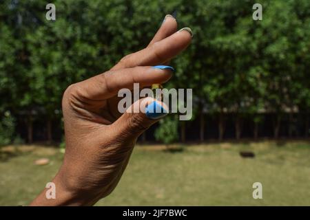 Capsula di vitamina D di colore giallo compresse di gel morbido e sgusciato in mano. Paziente che prende la compressa di integratore vitaminico a portata di mano per mangiare. tr. Carenza vitamina D Foto Stock