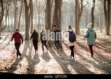 Vista posteriore dei campeggiatori del gruppo della gente con gli zaini che fanno camminare scandinavo con i bastoni professionali nella foresta dell'albero Foto Stock