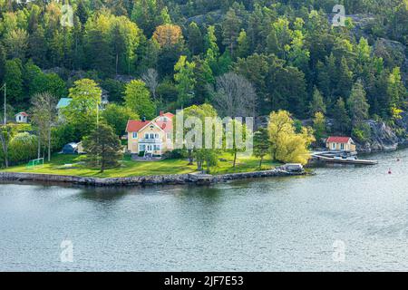 Mattina presto su una delle molte isole dell'arcipelago di Stoccolma - questa Skagga, Svezia Foto Stock
