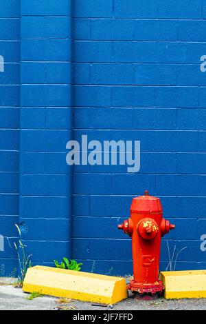 Parete dipinta di blu con un idrante di fuoco rosso e blocchi di guardia gialli a Steveston Harbour nella British Columbia Canada Foto Stock