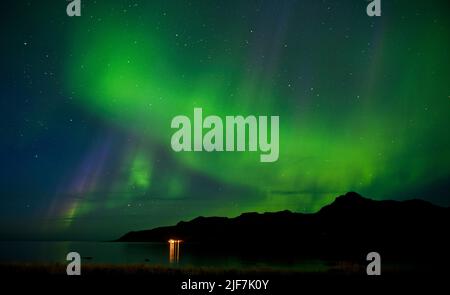 Aurora boreale su un fiordo nella remota est dell'Islanda Foto Stock