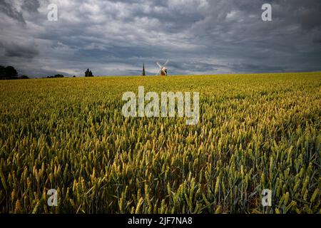 Thaxted, Regno Unito. 30th giugno 2022. Thaxted Essex Inghilterra UK Wheat Rippens sotto un cielo temporoso minaccioso 30 giugno 2022 grano in attesa di una certa pioggia nel Nord-ovest Essex con Thaxted Chiesa e John Webbs 19th secolo mulino a vento all'orizzonte. Credit: BRIAN HARRIS/Alamy Live News Foto Stock