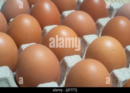 Primo piano delle uova di pollo poste in un astuccio per uova. Gli alimenti proteici sono adatti a tutti. Foto Stock