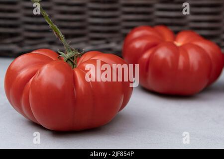 Oxheart Tomato, bistecca di pomodoro Foto Stock
