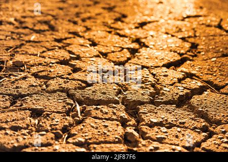 Primo piano di asfalto incrinato in sera dorato sole leggero. Incrinature sulla vecchia superficie stradale. Foto Stock