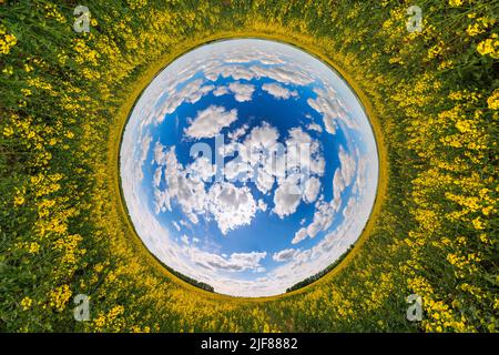 sfera blu invertita piccola vista del pianeta di giallo fioritura campo di colza, tunnel rotondo vista Foto Stock