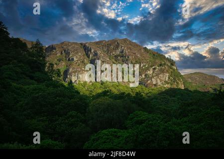 Vista dalla Borrowdale Valley verso le cascate illuminate dal sole del Cambrian Lake District Foto Stock