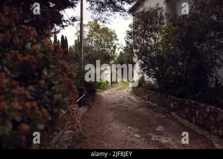 Accogliente strada solitaria che porta al giardino di rose a Mijas Foto Stock