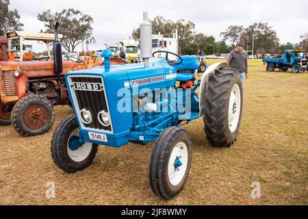 Un trattore agricolo vintage Ford 3000 ben restaurato in mostra a Manilla Australia. Foto Stock