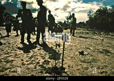 Conservazionisti marini e funzionari del governo locale piantando alberi di mangrovie su un'area di riabilitazione di mangrovie durante una visita dei media organizzata dal Conservancy naturale e WWF-Indonesia nel villaggio costiero di Tanjung Batu a Berau, Kalimantan orientale, Indonesia. Le mangrovie del paese hanno sofferto per decenni a causa di una separazione tra il loro reale valore e le politiche e le istituzioni del governo, un rapporto di Benjamin Brown e Satyawan Pudyatmko ha rivelato, come pubblicato sulla conversazione il 22 giugno 2022. Foto Stock