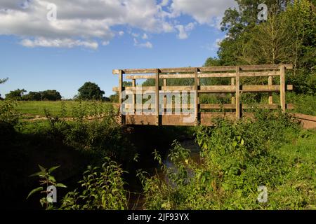 wooden bridge over a stream with wild flowers and a field behind in the evening light Foto Stock