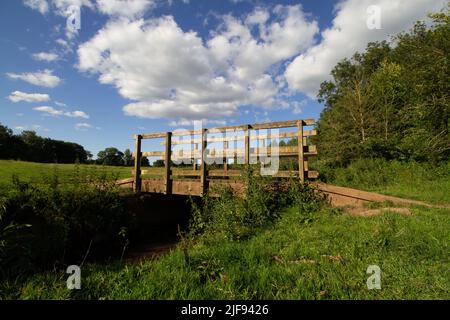 wooden bridge over a stream with wild flowers, trees and a field and clouds behind in the evening light Foto Stock