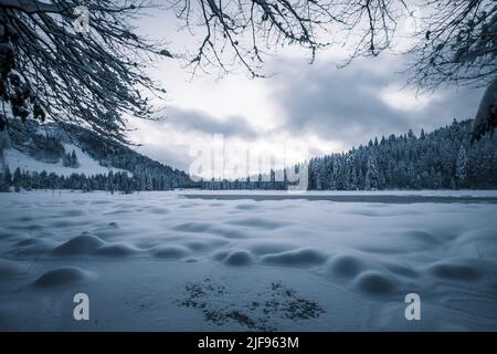 Vista sognante del lago ghiacciato di Lispach in Vosgi (Francia) all'ora blu con cielo moody Foto Stock