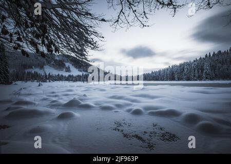 Vista sognante del lago ghiacciato di Lispach in Vosgi (Francia) all'ora blu con cielo moody Foto Stock