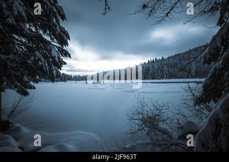 Vista sognante del lago ghiacciato di Lispach in Vosgi (Francia) all'ora blu con cielo moody Foto Stock