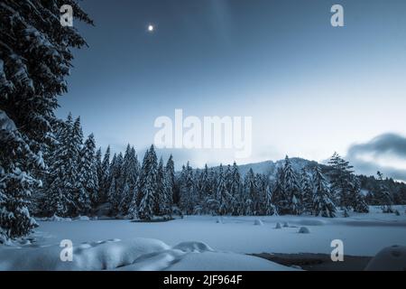 Vista sognante del lago ghiacciato di Lispach in Vosgi (Francia) all'ora blu con la luna nel cielo Foto Stock