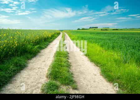 Strada rurale attraverso campi verdi e cielo blu Foto Stock