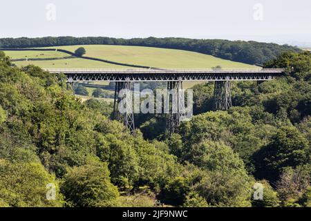 Meldon Viaduct vicino a Okehampton, un'ex struttura ferroviaria ora parte del percorso ciclabile Granite Way intorno a Dartmoor, Devon. Foto Stock