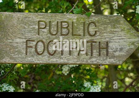 Camminando, sentiero, percorso, brambles, hedgerow, corsia stretta, alberi, corsia verde, sentiero pubblico, cartello, corsia di campagna, escursionisti, bastioni, a destra di modo. Foto Stock