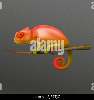 Arancione verde chameleon lucertola seduta sul primo piano ramo isolato immagine realistica scuro trasparente sfondo vettoriale illustrazione Illustrazione Vettoriale