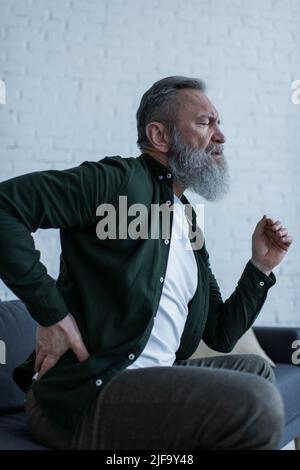 uomo anziano bearded con la barba seduta sul divano e toccando la schiena mentre soffre di dolore Foto Stock