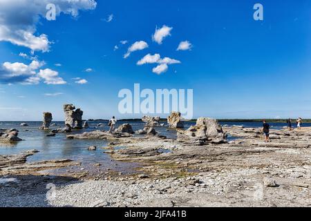 Passeggini sulla spiaggia di pietra con Raukar, ex bacino del porto Gamle Hamn o Gamla Hamn in estate, Faroe Island, Faroe, Gotland, Mar Baltico, Svezia Foto Stock