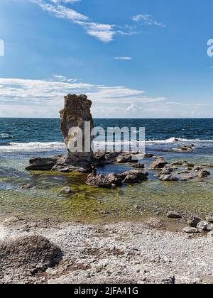 Escursionista di fronte alla roccia ago sulla costa, Raukar, pilastro calcareo nella riserva naturale di Digerhuvud, isola di Faroe, Faroe, Gotland, Mar Baltico, Svezia Foto Stock