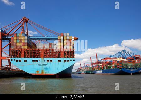 Navi portacontainer ormeggiate ai terminali Eurogate (a sinistra) e Burchardkai (a destra) del porto di Amburgo, Germania Foto Stock