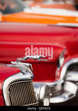 Calorifero mascotte, Greyhound, su un'auto d'epoca Ford, Vaermland, Svezia Foto Stock