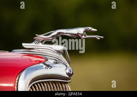 Calorifero mascotte, Greyhound, su un'auto d'epoca Ford, Vaermland, Svezia Foto Stock