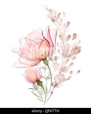 Acquerello profumo di rosa. Grandi fiori di pesca trasparenti con erba di pampas secca. Composizione beige pastello in moderno stile boho. Dipinto a mano astratto Foto Stock
