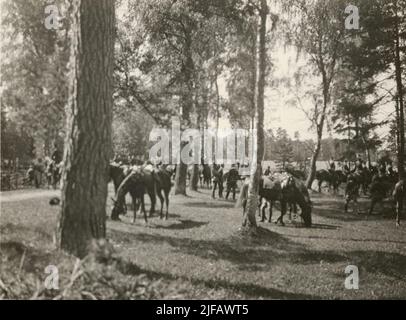 Soldati di cavalleria degli Husars K 3 del Life Regiment con i loro cavalli al margine della foresta. Foto Stock