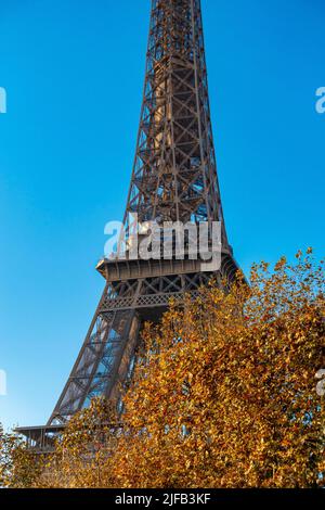 Francia, Parigi, gli Champs de Mars, la Torre Eiffel in autunno. Foto Stock