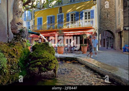 Francia, Var, la Dracenie, villaggio di Bargemon, fontana sotto ombrosi platani alberi del Place Chauvier Foto Stock