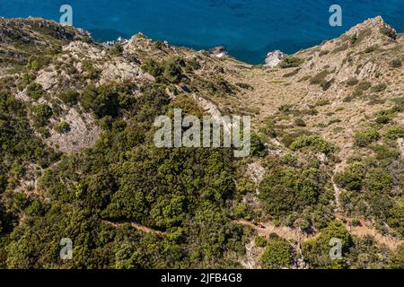 Francia, Var, Six Fours les Plages, escursione sul massiccio del Cap Sicie, escursionisti sulla pista della cresta del Roumagnan (vista aerea) Foto Stock