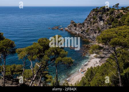 Francia, Var, Six Fours les Plages, escursione sul massiccio del Cap Sicie, spiaggia di Mont Salva verso le Brusc (vista aerea) Foto Stock