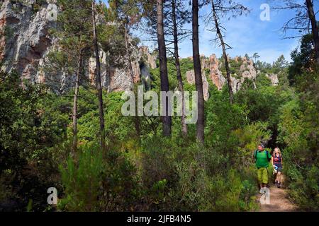 Francia, Var, tra Bagnols en Foret e Roquebrune sur Argens, escursione nelle gole del Blavet Foto Stock