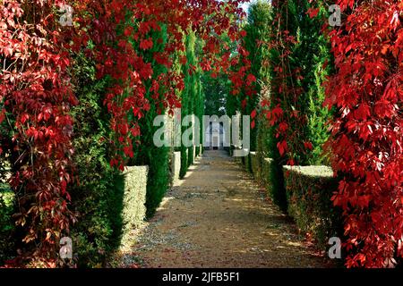 Francia, Eure, parco del Castello del campo di battaglia a Sainte-opportunune-du-Bosc, etichettato Giardino notevole, proprietà del decoratore Jacques Garcia Foto Stock