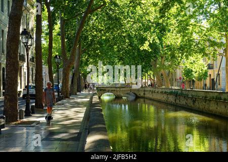 Francia, Gard, Nimes, les quais de la Fontaine (le rive della fontana) Foto Stock