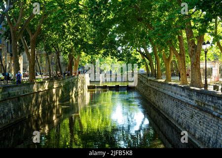 Francia, Gard, Nimes, les quais de la Fontaine (le rive della fontana) Foto Stock