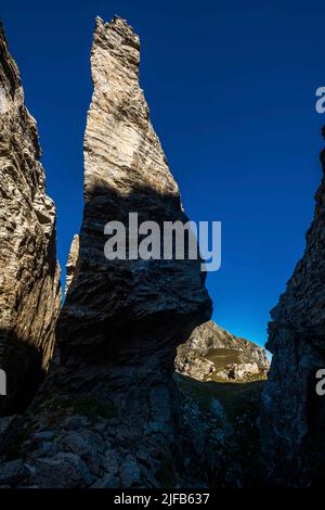 Francia, Hautes-Alpes, Champsaur Valley, Ancelle, Piolit Range, Alta valle della Rouanne, passo di Chorges Foto Stock