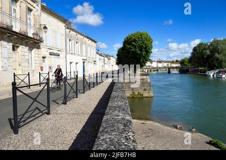 Francia, Charente-Maritime, Saintonge, Saint Savinien, pietre etichettate e villaggi d'acqua, ciclista viaggiando lungo la pista ciclabile Flow Vélo sulle banchine della Charente Foto Stock