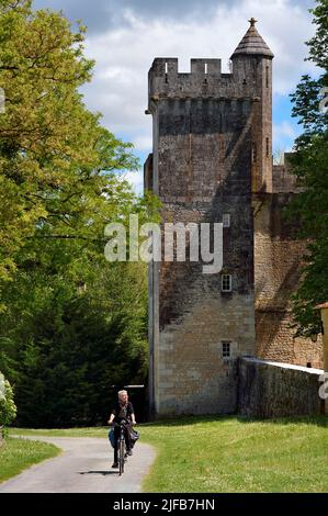 Francia, Charente-Maritime, Saintonge, Crazannes, Chateau de Crazannes, la torre, vestigia della parete circostante della vecchia fortezza medievale del 11th secolo Foto Stock