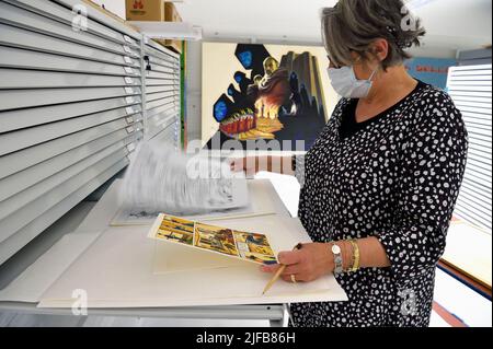 Francia, Charente, Angouleme, Cité internationale de la bande dessinée et de l'image (CIBDI) (città internazionale del fumetto e delle immagini), nelle riserve del museo del fumetto, Caroline Janvier ricerca le collezioni Foto Stock