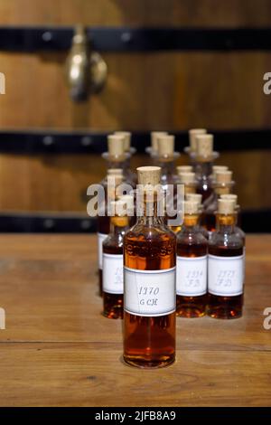 Francia, Charente, Cognac, Hennessy cognac Casa di invecchiamento cantine, campioni di eaux-de-vie estratto da barili diversi e in attesa di essere mescolati per creare cognac Foto Stock