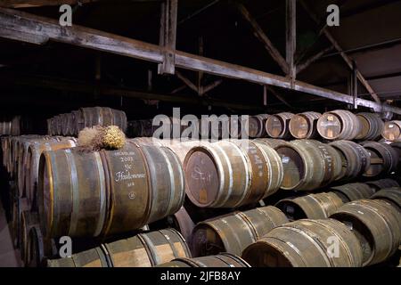 Francia, Charente, Cognac, botti immagazzinate in Hennessy cognac Casa di invecchiamento cantine Foto Stock