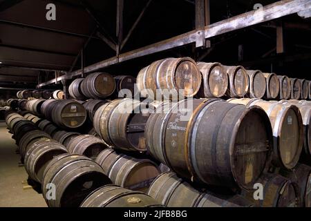 Francia, Charente, Cognac, botti immagazzinate in Hennessy cognac Casa di invecchiamento cantine Foto Stock