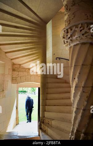 Francia, Dordogne, Périgord Vert, Villars, castello di Puyguilhem, La seconda scala a chiocciola nella torre ottagonale Foto Stock