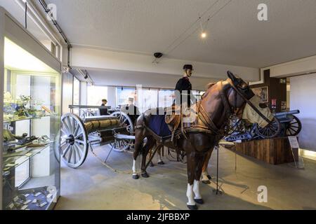 Francia, Var, Dracenie, Draguignan, avenue des Ecoles Militaires, Museo dell'artiglieria Foto Stock