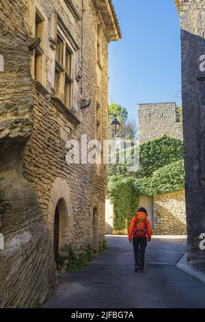 Francia, Vaucluse, parco naturale regionale del Luberon, escursione a partire dal piccolo borgo medievale arroccato di Goult, quattro strade scavate nella roccia Foto Stock